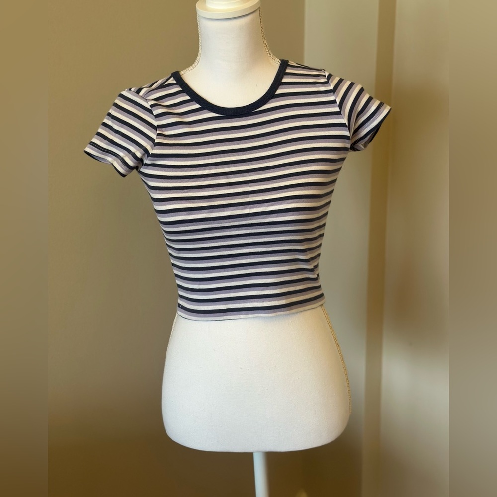 Brandy Melville Crop Tee
